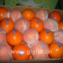 New Crop First Grade Nabel Orange